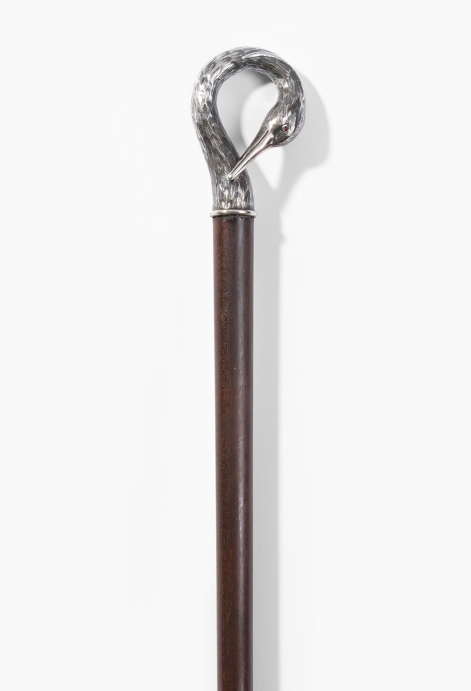 Spazierstock (1 of 1)