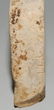 Giessform Ägypten, Spätzeit. Kalkstein. Giessform - 4