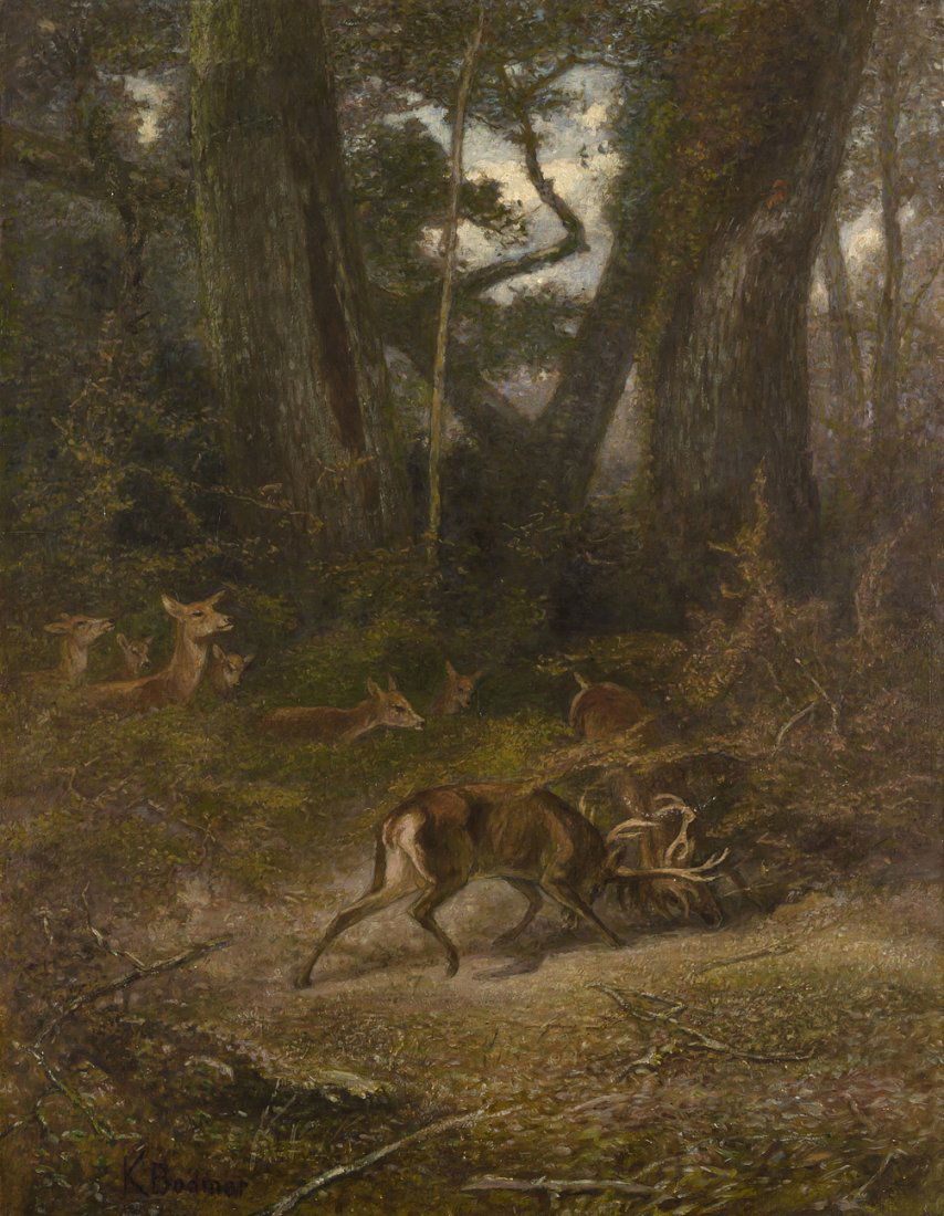 Bodmer, Karl (Zrich 1809–1893 Paris) In einer (1 of 1)