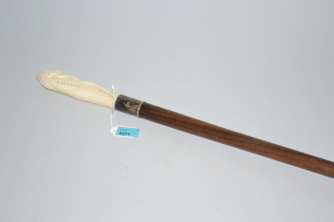 Spazierstock Um/Nach 1900. Schuss aus Holz mit (1 of 1)