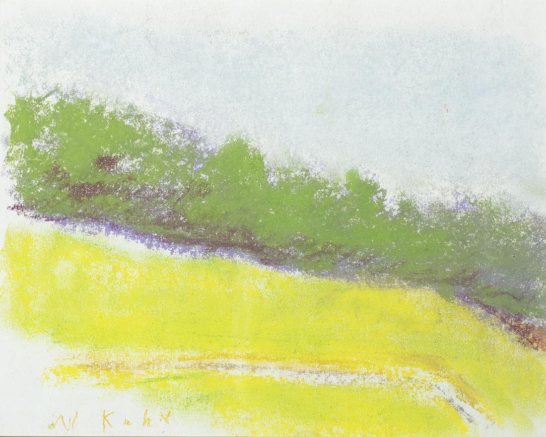 Wolf Kahn (Am. 1927-2020) - Vermont Hillside -: Wolf KahnAm. 1927-2020Vermont HillsidePastel on paper, framed under glassSigned l.l. 10 1/4" x 13" sight, 16 1/4" x 19" framedProvenance: Private Collection New York City