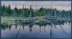 Janice Anthony Am. 20th Century "Abandoned Beaver Lodge