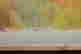 item-108090890=4