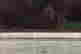 item-108090951=5