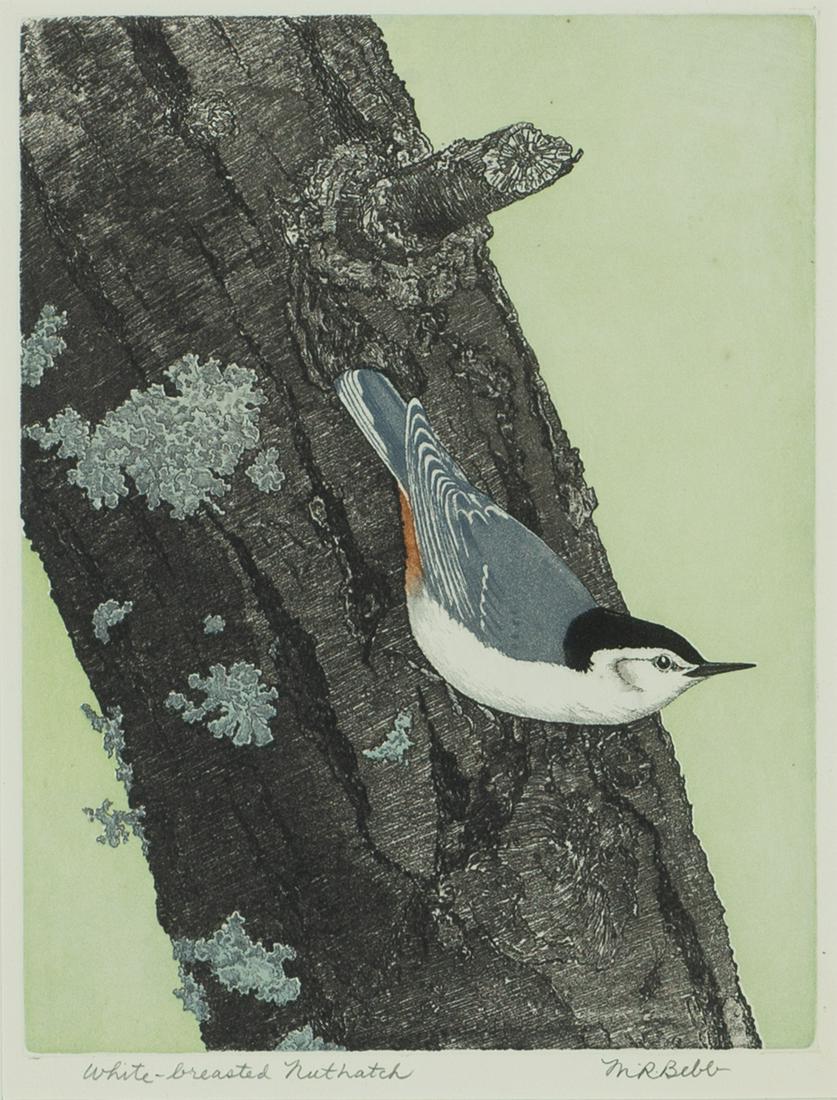 Maurice R. Bebb, Am. 1891-1986, "White-breasted (1 of 4)