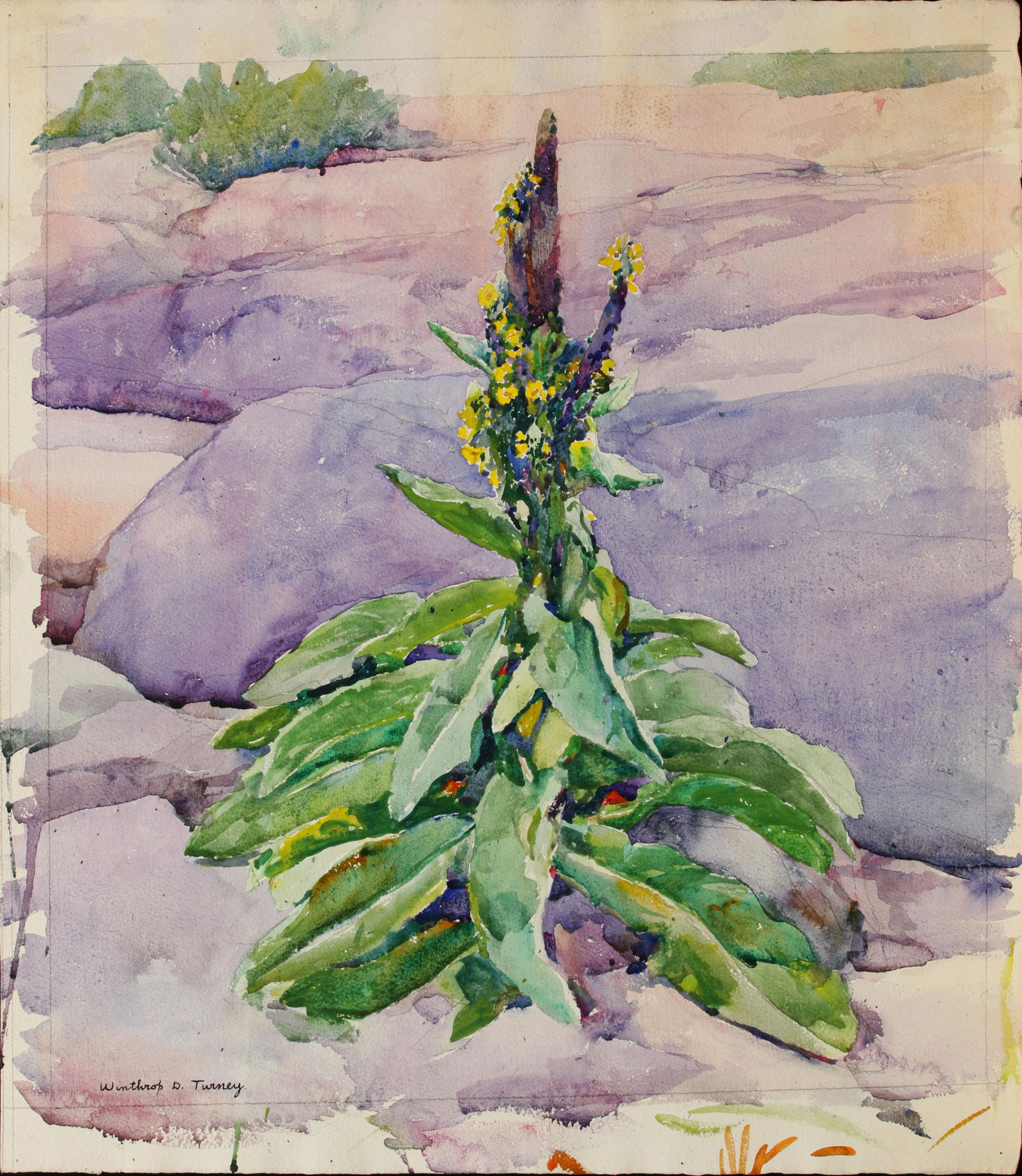 Winthrop D. Turney, Am. 1884-1965, Two Works: 1] (1 of 6)