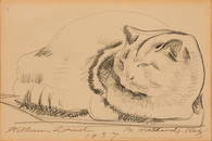 William Zorach (Am. 1887-1966), Cat, 1937, Pencil on paper, framed under glass