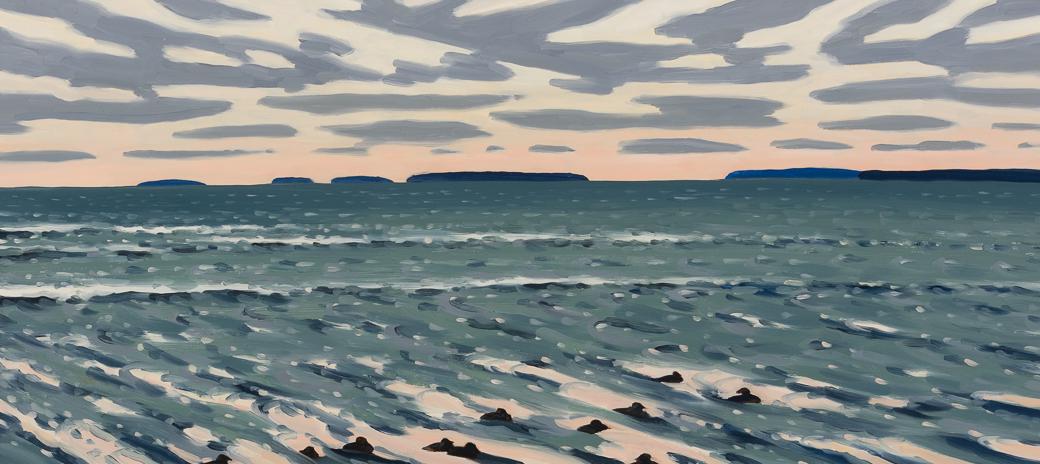 Sarah Faragher (Am. 21st Century), "Eleven Eiders Off Schoodic Point Maine" October 23, 2015, Oil on (1 of 6)