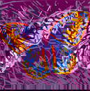 Andy Warhol (Am. 1928-1987), Endangered Species: San Francisco Silverspot, Screenprint, framed under