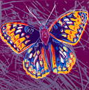 Andy Warhol (Am. 1928-1987), Endangered Species: San Francisco Silverspot, Screenprint, framed under