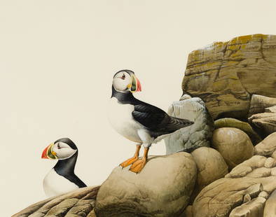 John Felsing (Am. b. 1954), Puffins, 1982, Watercolor on paper, framed under glass: John Felsing (Am. b. 1954) Puffins, 1982 Watercolor on paper, framed under glass Signed and dated l.r. 20 1/2" x 26" sight, 29 9/16" x 34 1/2" framed Provenance: From the Artist to P