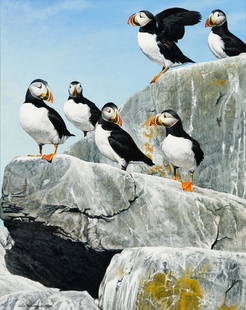 John Felsing (Am. b. 1954), Puffins, 1984, Oil on canvas, framed: John Felsing (Am. b. 1954) Puffins, 1984 Oil on canvas, framed Signed and dated l.l. 19 1/2&quot; x 15 1/2&quot; sight, 24 7/16&quot; x 20 3/8&quot; framed