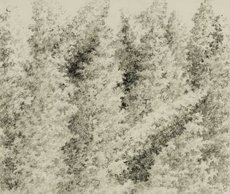 Alan Bray (Am. b. 1946), Forest Scene, Pencil on paper, framed under glass
