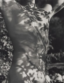 Bruce Weber (Am. b. 1946), "Tyke, Long Pond, Adirondack Park, New York" 1988, Photograph, framed