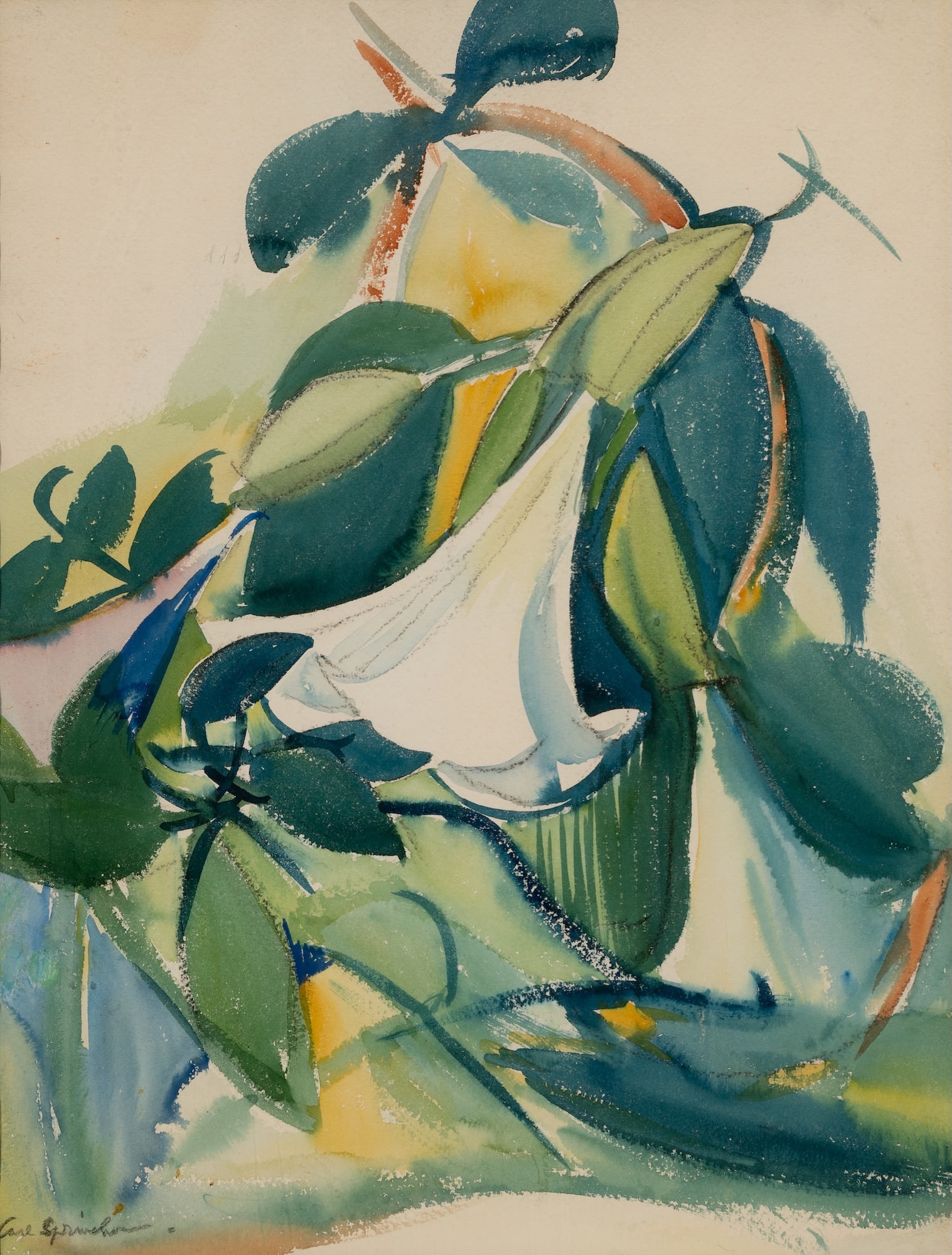 Carl Sprinchorn (Am. 1887-1971), Trumpet Vine , Watercolor on paper, framed under glass: Carl Sprinchorn (Am. 1887-1971) Trumpet Vine Watercolor on paper, framed under glass Signed l.l. 19 3/4" x 15" sight, 36 1/8" x 28 5/8" framed Provenance: