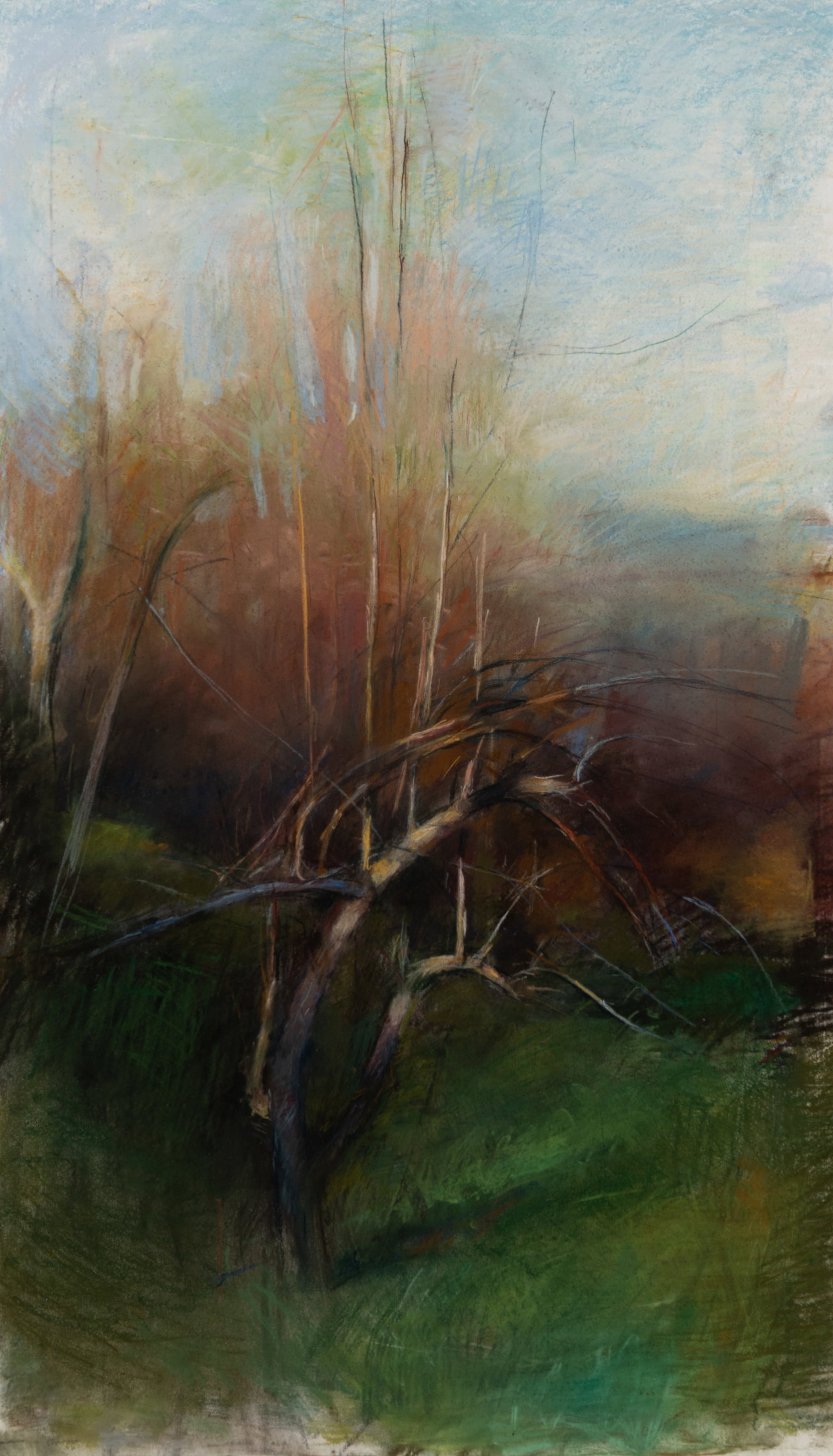 Stephen P. Brown (Am. 1950-2009), Spring Pear, 2006, Pastel on paper, framed under glass: Stephen P. Brown (Am. 1950-2009) Spring Pear, 2006 Pastel on paper, framed under glass Signed and dated l.l. 38" x 22 1/2" actual, 27 7/8" x 43 1/2" framed Provenance: