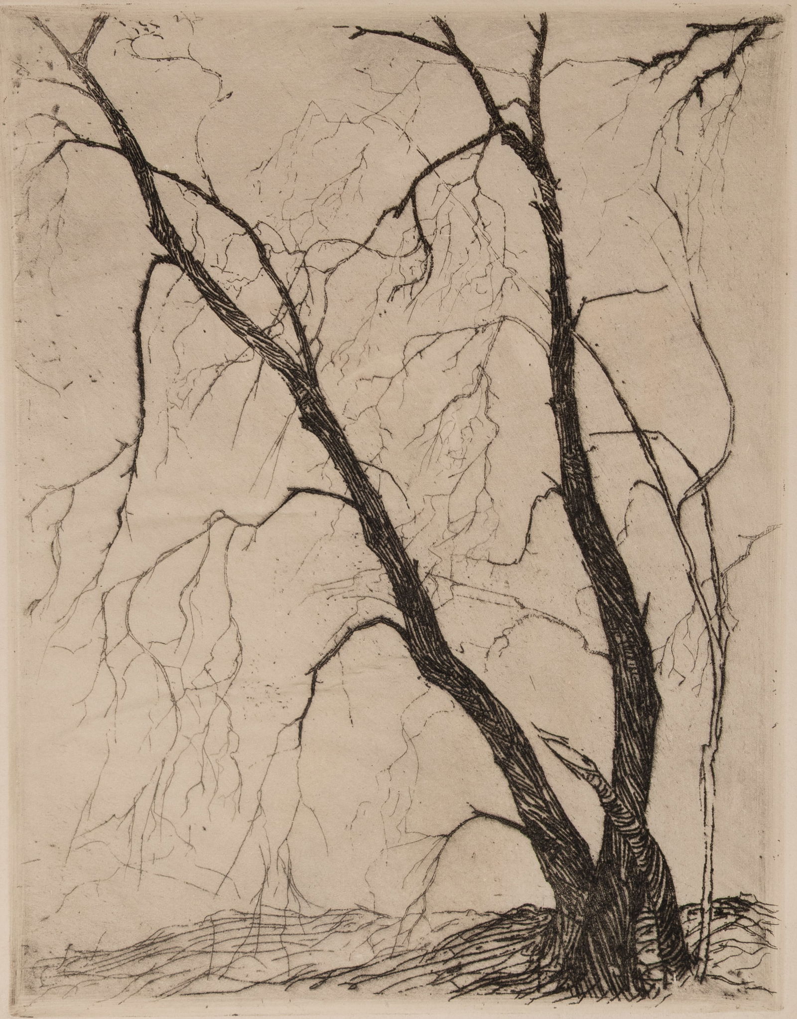 Gertrude Fiske (Am. 1879-1961), Bare Trees, Etching, unframed (1 of 4)