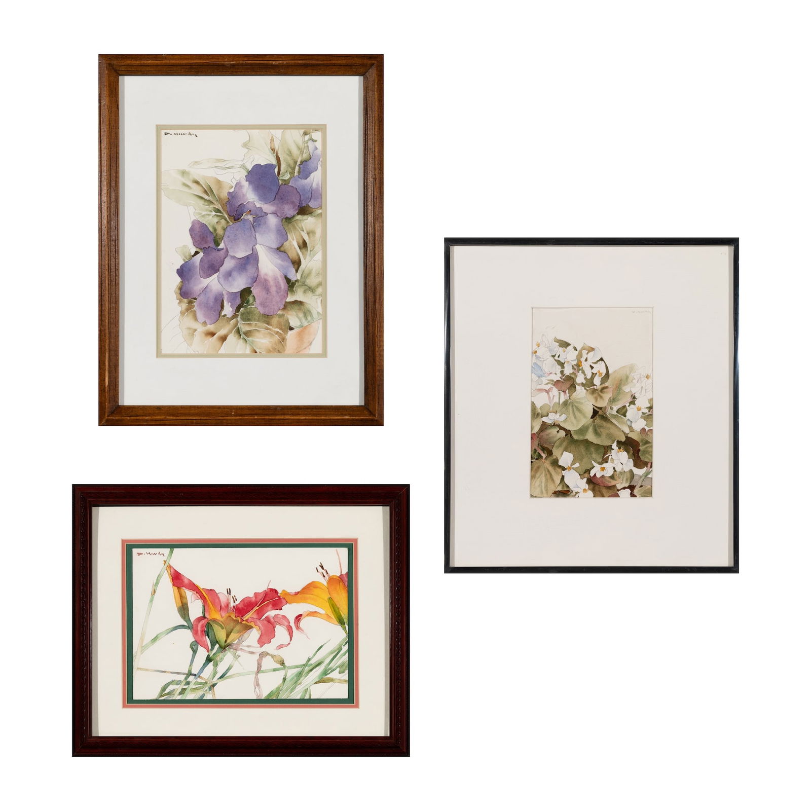Dewitt Hardy (Am. 1940-2017), Three Works,: Dewitt Hardy (Am. 1940-2017) Three Works 1] IrisWatercolor on paper, framed under glassSigned u.l.8" x 6" sight, 13 1/8" x 10" framed2] White FlowerWatercolor on paper, framed under glassSigned u.
