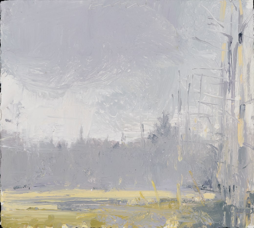 Eric Aho (Am. b. 1966), "Townsend no. 4" 2003, Acrylic on paper, unframed: Eric Aho (Am. b. 1966) "Townsend no. 4" 2003 Acrylic on paper, unframed Signature incised u.c., titled and dated on verso 10" x 11 1/4" actual Provenance: Pr