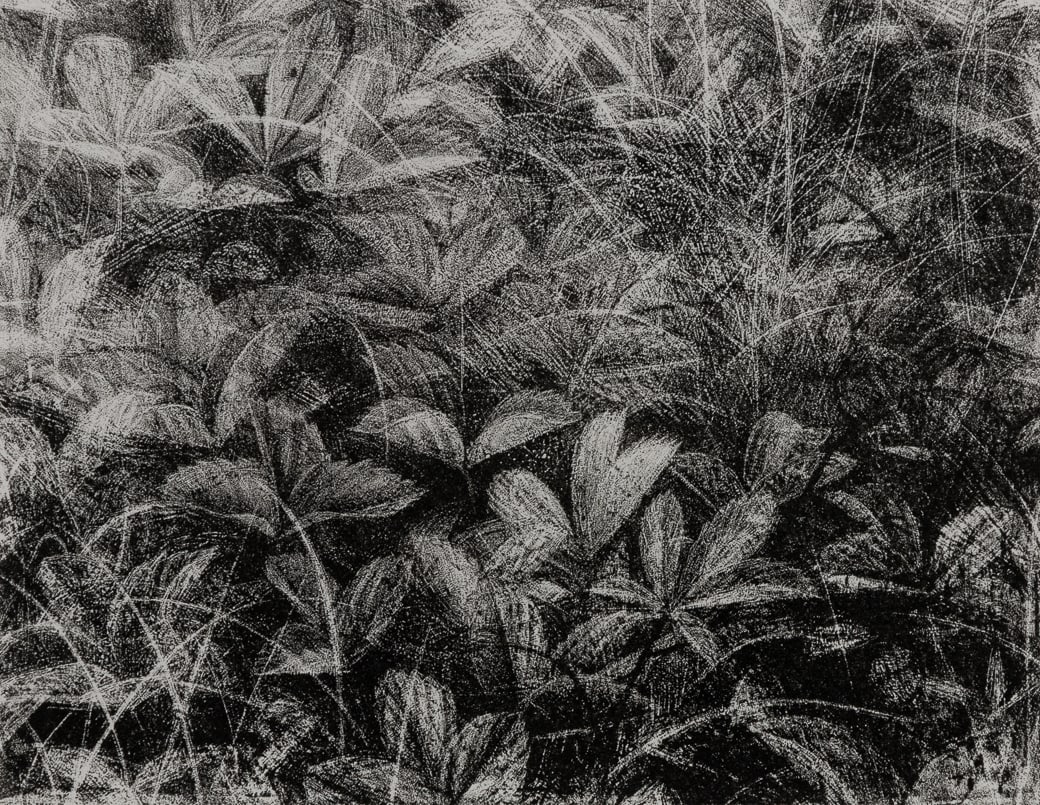 Brett Bigbee (Am. b. 1954), Ground Cover, 1997, Lithograph, framed under glass: Brett Bigbee (Am. b. 1954) Ground Cover, 1997 Lithograph, framed under glass Signed in pencil l.r., inscribed "HC" in pencil l.l., Tibor de Nagy Gallery label on backing 7 1/4" x 9 3/8" pla