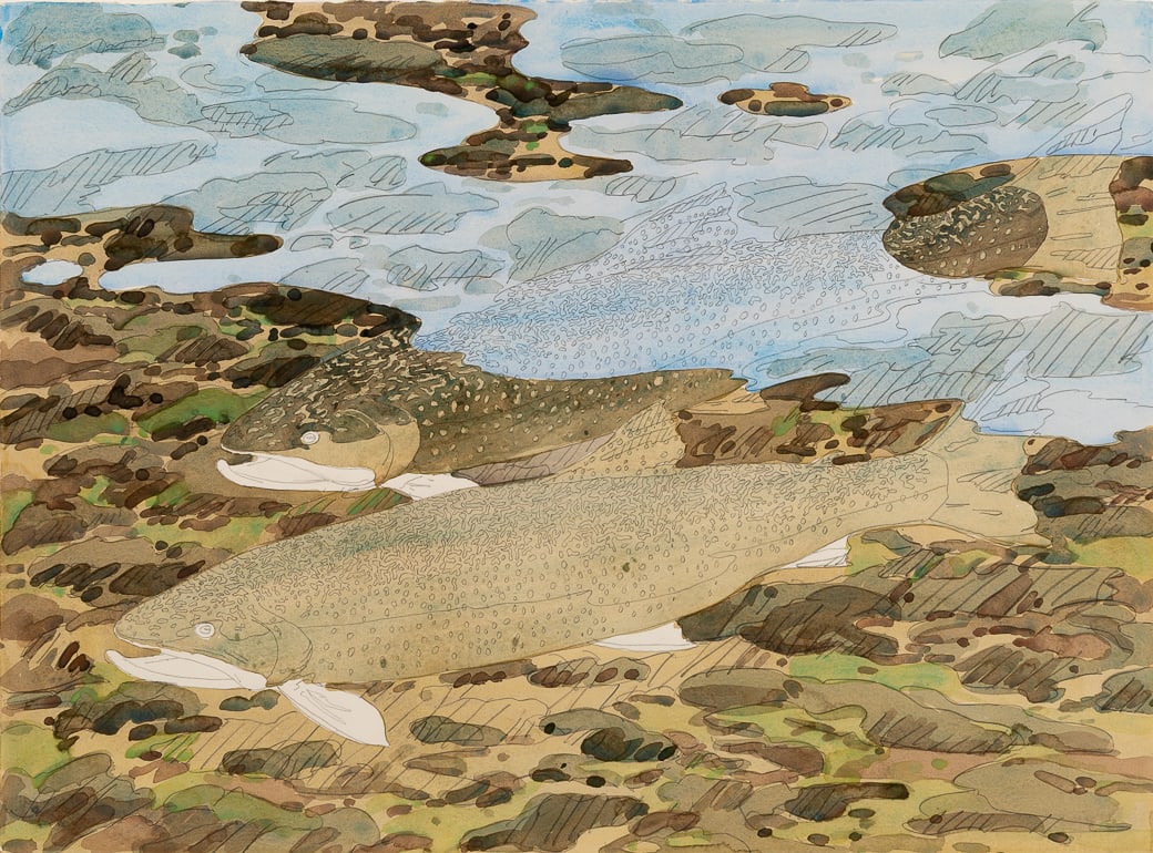 Neil Welliver (Am. 1929-2005), Two Trout and Reflections, 1994, Watercolor on paper, framed under (1 of 7)