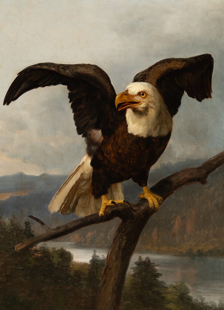 John Henry Dolph (Am. 1835-1903), Eagle, Oil on canvas, framed (1 of 4)