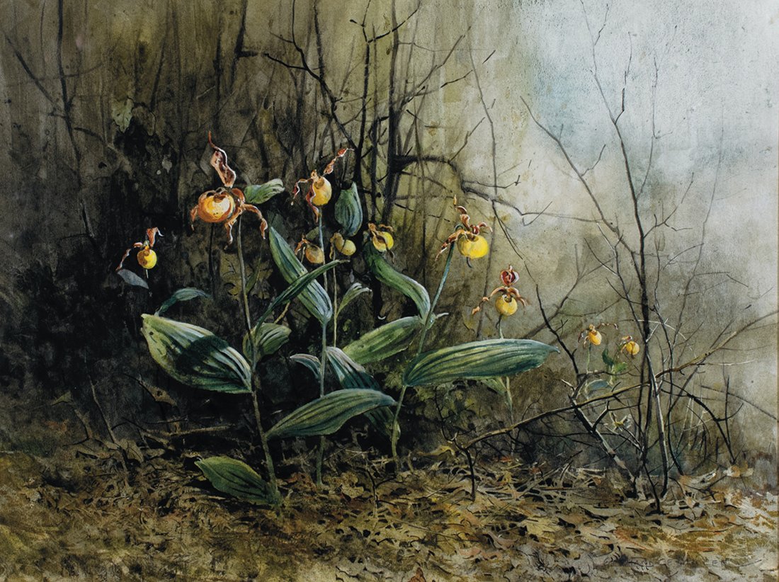 Gerhard C. F. Miller: Gerhard C. F. Miller Am. 1903–2003 Yellow Lady Slippers Signed "Gerhard C. F. Miller" l.r. Tempera 20 x 26 in. sight 50.8 x 66.0 cm sight Provenance: The artist By descent in the family to the curre