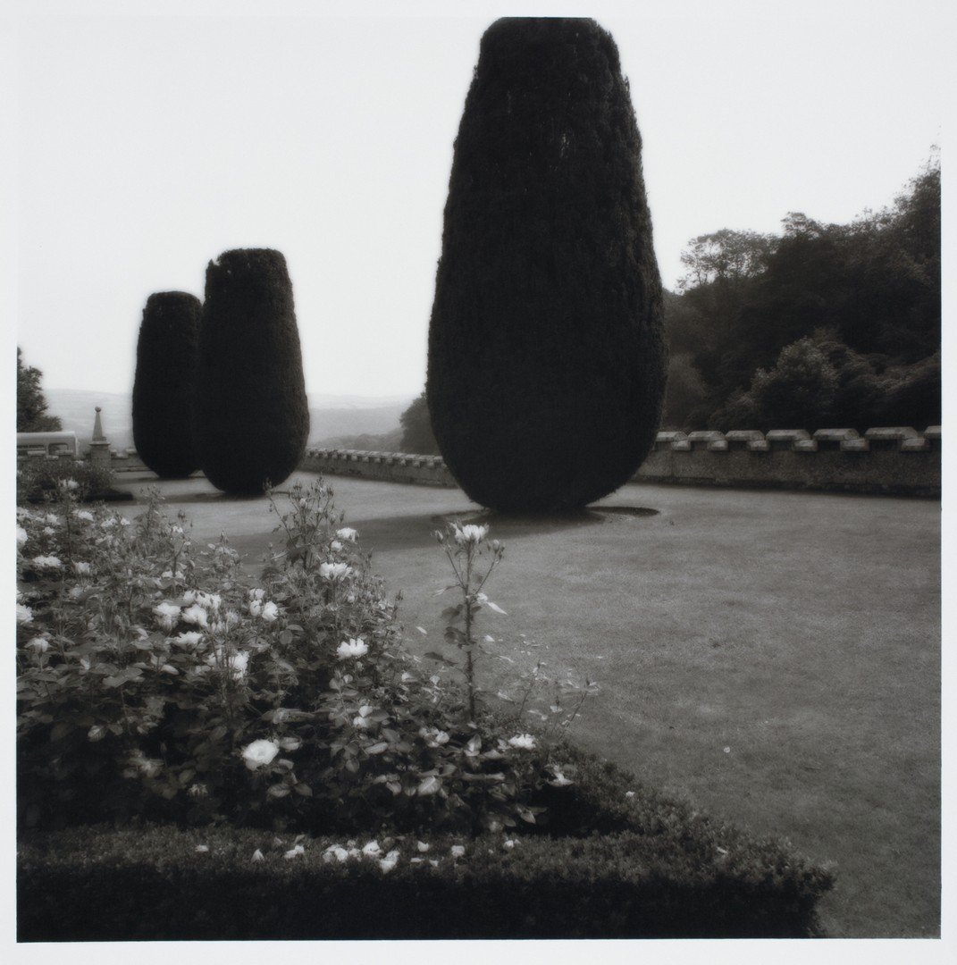 Lynn Geesaman: Lynn Geesaman Am. b. 1938 Rose Garden Titled, signed and dated "Rose Garden with Yews, Lanhydrock, Cornwall, England, Lynn Greesaman, 1991 verso Photograph 19 x 19 in. 48.3 x 48.3 cm The photographs i