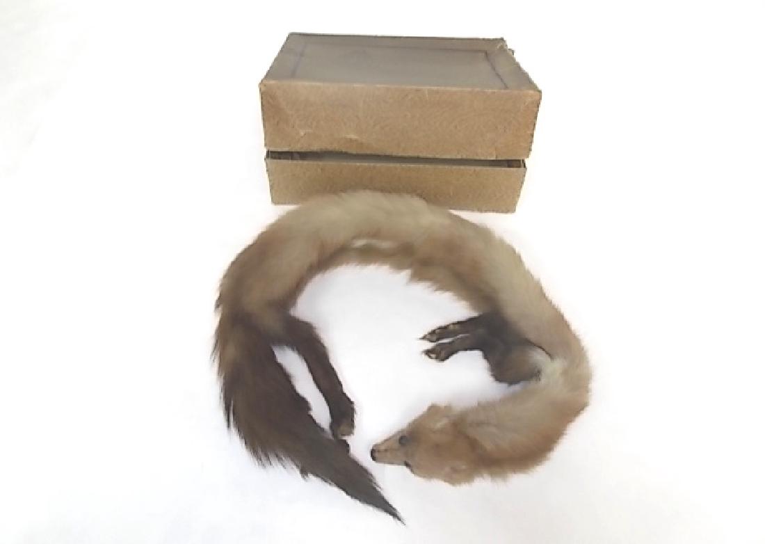 VINTAGE ANTIQUE MINK FUR STOLE (1 of 3)