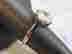 item-80981229=2