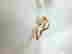 item-84229008=4