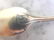 ANTIQUE STERLING SILVER GORHAM SALT SPOON - 3