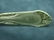 SIX LOVELY ANTIQUE .800 SILVER POSEN FORKS, 140g - 4