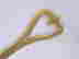 item-87800738=2