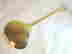 item-87800738=4