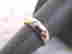 item-87801668=2