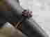item-88402407=2