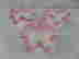 item-95618507=6