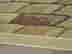 item-95618508=6
