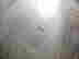 item-95618685=4