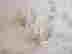 item-95874729=3