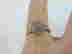 item-101487313=5