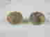 item-101734679=3