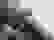 item-103191686=2