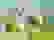 item-103279015=2