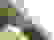 item-103830956=2