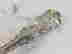 item-106110939=4