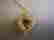 item-106111099=2