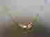 item-106111144=5
