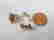 item-107853506=4